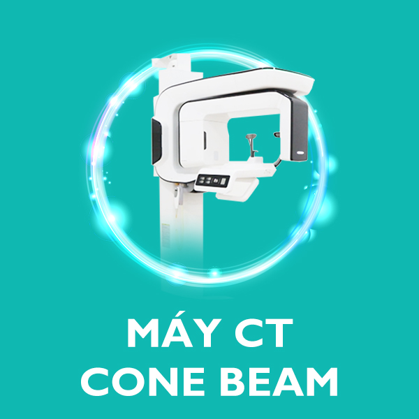 may ct cone beam 3d