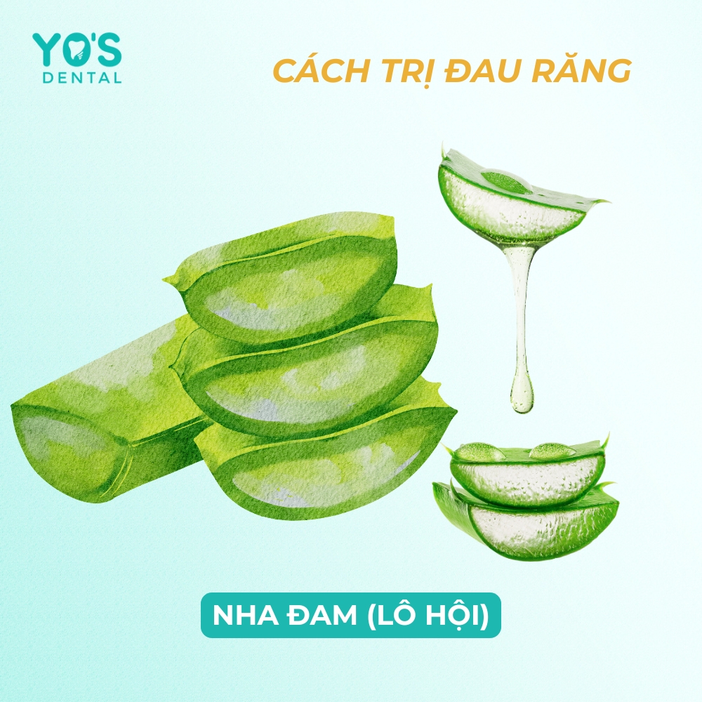 Gel nha đam có khả năng làm dịu, kháng viêm và chữa lành