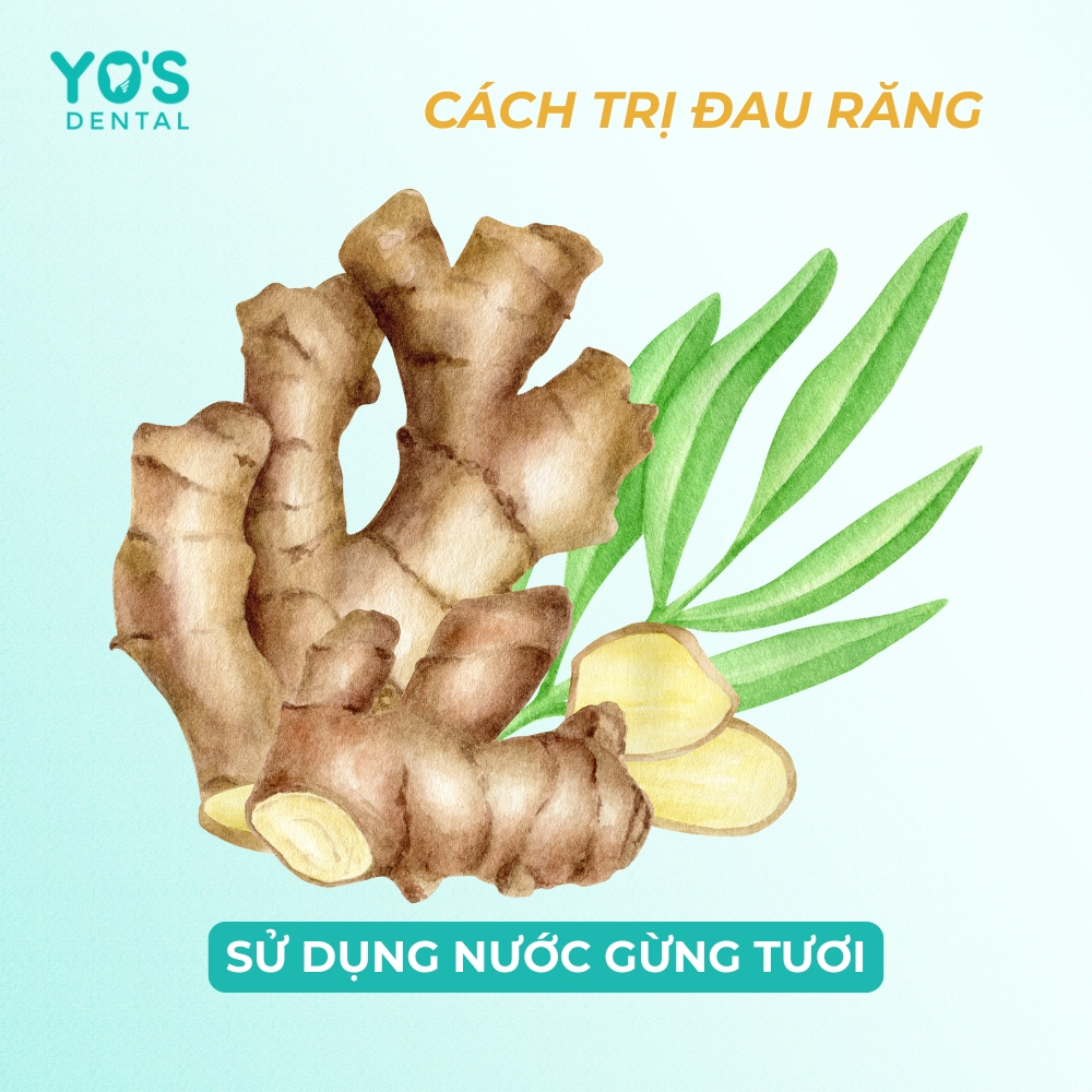 Gừng chứa Gingerol có đặc tính chống viêm và giảm đau tự nhiên