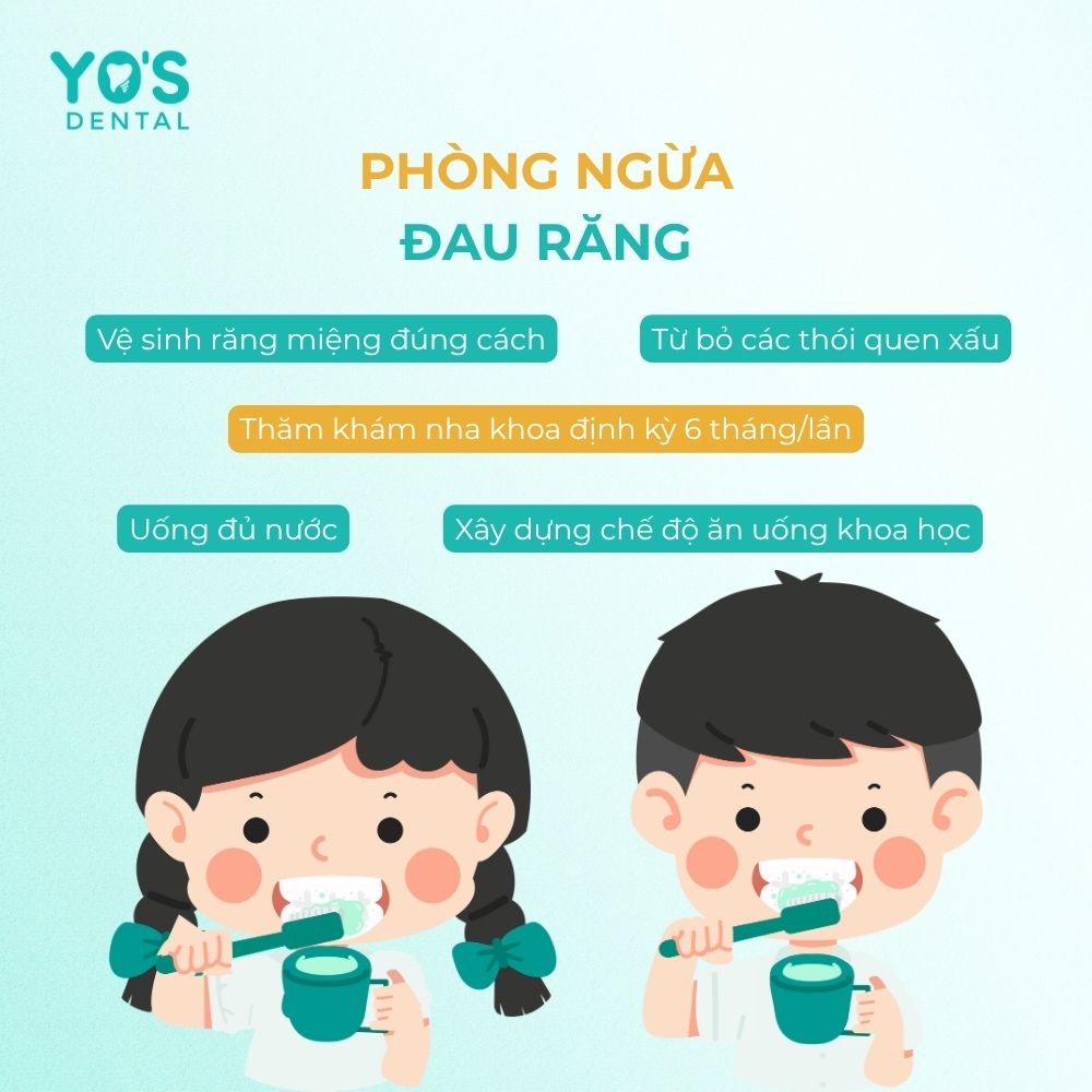 Những phương pháp chủ động phòng ngừa đau nhức răng
