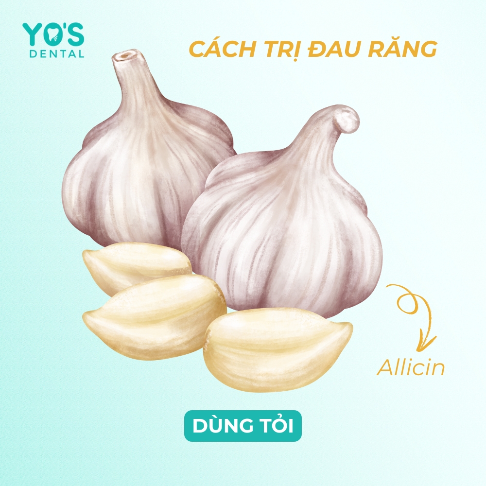 Allicin trong tỏi mang đặc tính kháng sinh mạnh mẽ