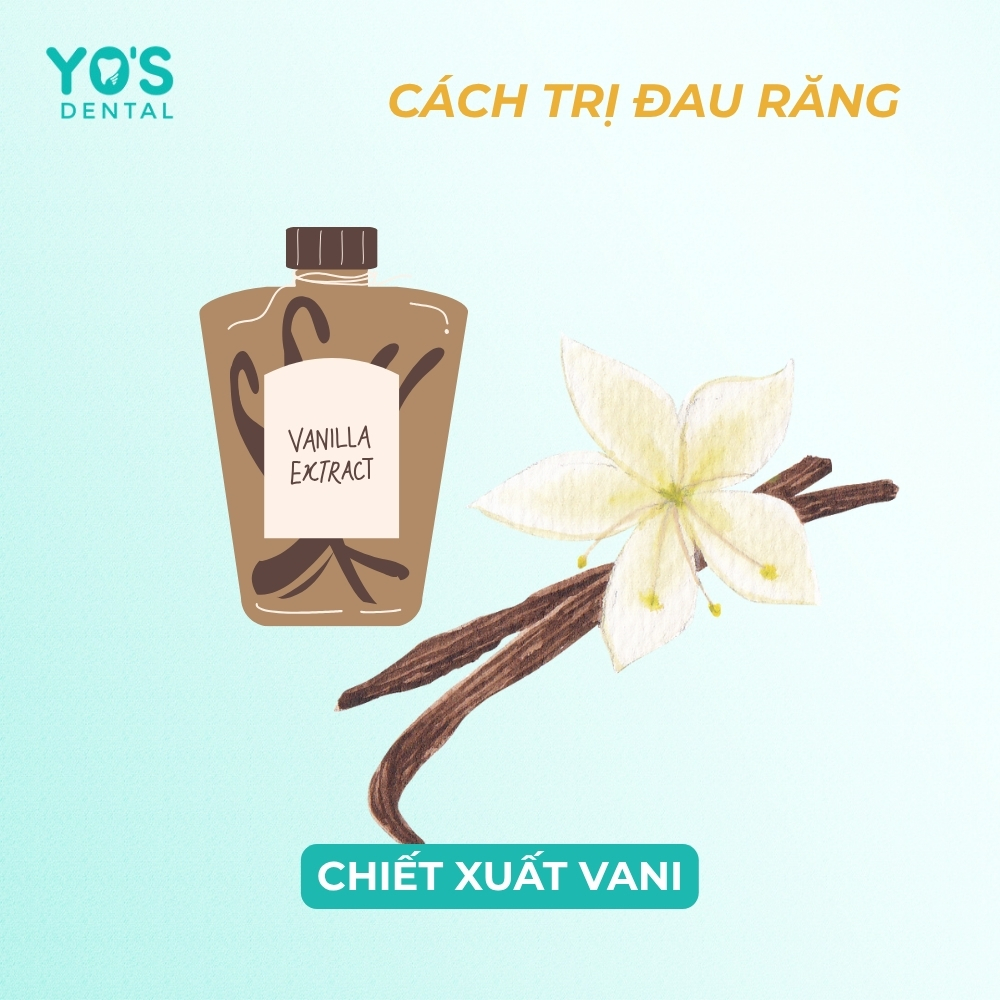 Chiết xuất vani có chứa cồn giúp giảm đau nhanh
