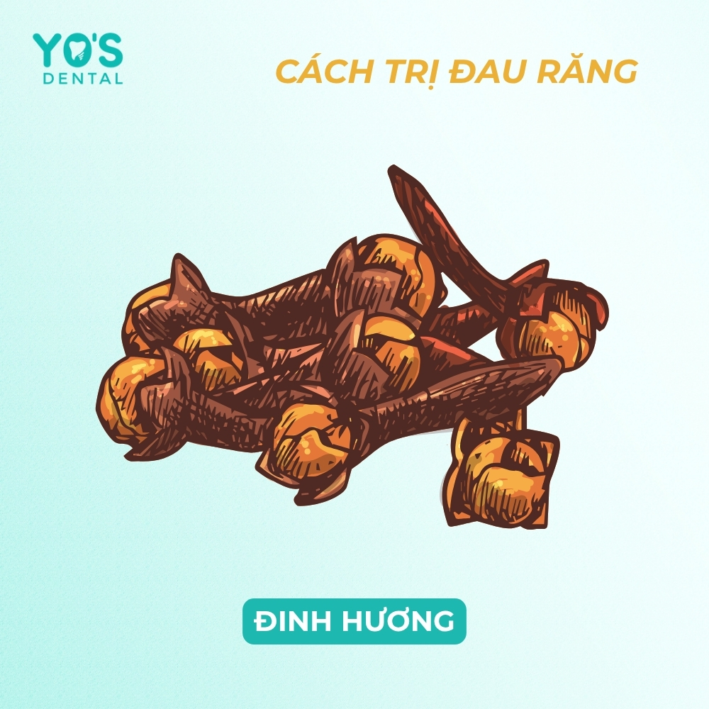 Tính sát trùng cao trong hoạt chất Eugenol của đinh hương giúp trị nhức răng tức thời
